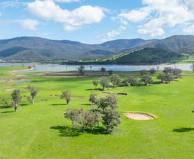 Rural / Farming commercial property sold at 4690 Murray River Road Thologolong VIC 3691