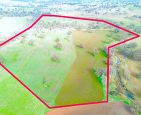 Rural / Farming commercial property for sale at Milgarra 6 Sullivans Road Manildra NSW 2865