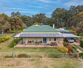 Rural / Farming commercial property for sale at 511 Walbundrie Road Culcairn NSW 2660