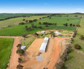 Rural / Farming commercial property for sale at 1273 Canola Way Marrar NSW 2652