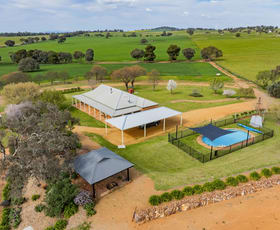 Rural / Farming commercial property for sale at 1273 Canola Way Marrar NSW 2652