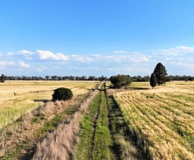 Rural / Farming commercial property sold at KINGAROY JANDOWAE Road Jandowae QLD 4410