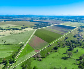 Rural / Farming commercial property for sale at 45 Munro Wharf Road Tucki Tucki NSW 2480