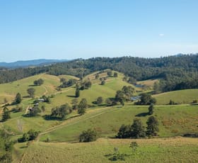 Rural / Farming commercial property for sale at 353 Rhones Creek Road Talarm NSW 2447