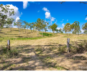 Rural / Farming commercial property for sale at 804 Belmont Road Glenlee QLD 4711