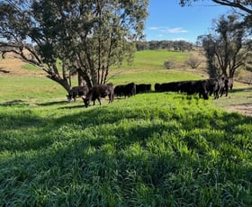 Rural / Farming commercial property for sale at 1182 Yalbraith Road Taralga NSW 2580