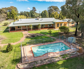 Rural / Farming commercial property sold at 830 Morongla Road Cowra NSW 2794
