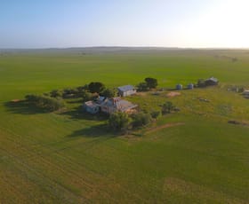 Rural / Farming commercial property for sale at 222 Nicholls Rd Booleroo Centre SA 5482