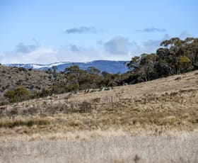 Rural / Farming commercial property sold at "Spring Hill" 62 Eucumbene Road Hill Top NSW 2628