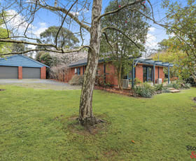 Rural / Farming commercial property sold at 695 Boolarra-Mirboo North Road Mirboo North VIC 3871