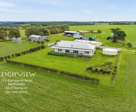 Rural / Farming commercial property for sale at 141 Bamganie Road Bamganie VIC 3333