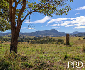 Rural / Farming commercial property for sale at Lot 30, 46 Lynches Creek Road Wiangaree NSW 2474