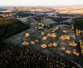 Rural / Farming commercial property sold at 922 Swallows Nest Road Dog Rocks NSW 2795