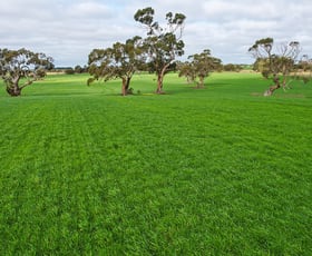 Rural / Farming commercial property for sale at Hensley Park Road Hamilton VIC 3300