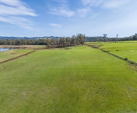Rural / Farming commercial property for sale at 234 Winkleigh Road Exeter TAS 7275