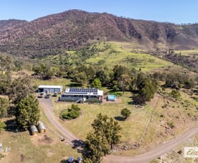 Rural / Farming commercial property for sale at 1679 Ingoldsby Road Ingoldsby QLD 4343