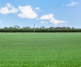 Rural / Farming commercial property sold at 725 Barunah South Road Wingeel VIC 3321