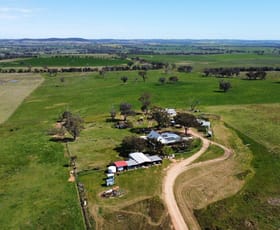 Rural / Farming commercial property for sale at 65 Mahers Road Young NSW 2594