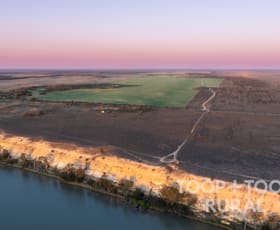 Rural / Farming commercial property for sale at 499/ Murbko Road Murbko SA 5320