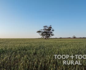 Rural / Farming commercial property for sale at 499/ Murbko Road Murbko SA 5320