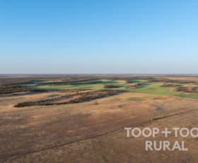 Rural / Farming commercial property for sale at 499/ Murbko Road Murbko SA 5320