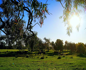 Rural / Farming commercial property sold at 745 Balmattum North Road Balmattum VIC 3666