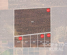 Rural / Farming commercial property for sale at 1265/ Warnecke Road Monash SA 5342