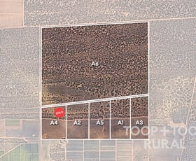 Rural / Farming commercial property for sale at 1265/ Warnecke Road Monash SA 5342