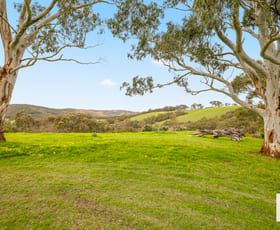 Rural / Farming commercial property sold at 107 Scott Road Yundi SA 5172