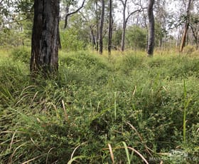Rural / Farming commercial property for sale at Lot 154 / 764 Hodzic Road Biboohra QLD 4880