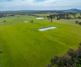 Rural / Farming commercial property sold at 220 Lyons Road Lyndhurst NSW 2797