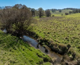 Rural / Farming commercial property sold at "Peppers Ridge" Rockley Road Rockley NSW 2795