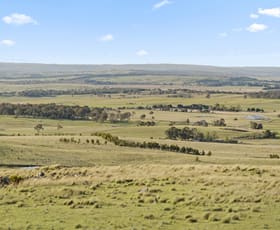 Rural / Farming commercial property sold at 61 Carneys Road Goulburn NSW 2580