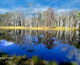 Rural / Farming commercial property for sale at Canyonleigh NSW 2577