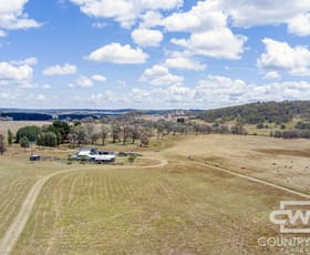 Rural / Farming commercial property for sale at 1651 Shannon Vale Road Shannon Vale NSW 2370