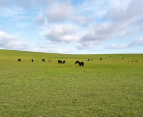 Rural / Farming commercial property for sale at Rushy Lagoon TAS 7264