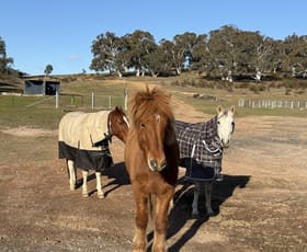 Rural / Farming commercial property for sale at 127 Corregans Road Murrumbateman NSW 2582