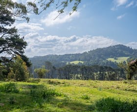 Rural / Farming commercial property sold at 2 Maugers Road Robertson NSW 2577
