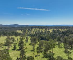 Rural / Farming commercial property for sale at Western Boundary Road Cambridge Plateau NSW 2469