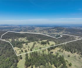 Rural / Farming commercial property for sale at Western Boundary Road Cambridge Plateau NSW 2469