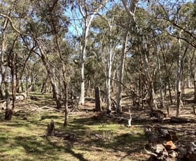 Rural / Farming commercial property sold at Lot 70C & McMillan Lane Beaufort VIC 3373