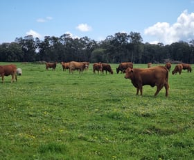 Rural / Farming commercial property for sale at 550 Elgin Road Elgin WA 6237