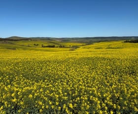 Rural / Farming commercial property for sale at 148 McAvaney Lane Whites Flat SA 5607