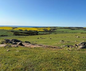 Rural / Farming commercial property for sale at LOT 1 & 2 McAvaney Lane Whites Flat SA 5607