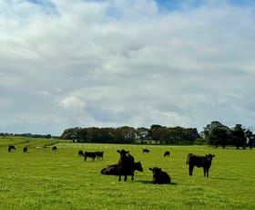 Rural / Farming commercial property sold at Princes Highway Weerite VIC 3260