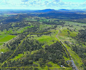Rural / Farming commercial property sold at 75 Ray Carter Drive Quirindi NSW 2343