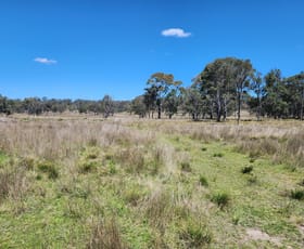 Rural / Farming commercial property for sale at Lot 1 Stanthorpe Inglewood Road Stanthorpe QLD 4380