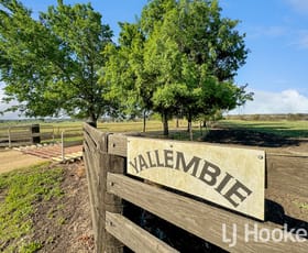 Rural / Farming commercial property for sale at 116 McLean Road Inverell NSW 2360