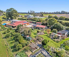 Rural / Farming commercial property for sale at 1001 Oldina Road Oldina TAS 7325