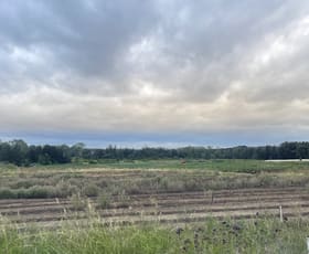 Rural / Farming commercial property for sale at Badgerys Creek NSW 2555